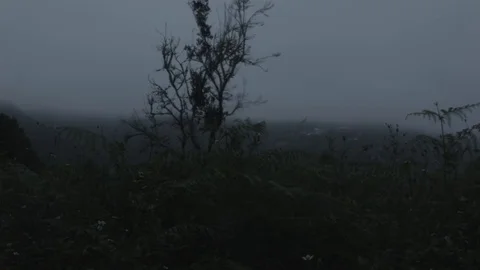 Misty Landscape in Mountains Video stock 70694127
