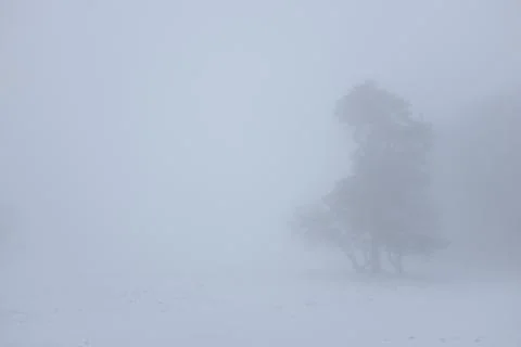 Misty landscape Stock Photos