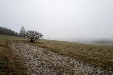 Misty Landscape Stock Photos