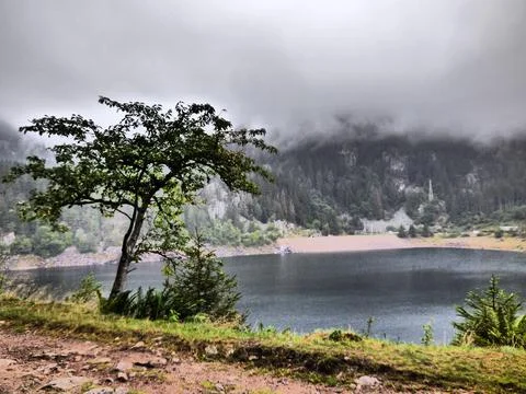 Misty landscape Stock Photos