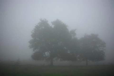 Misty Landscape View 写真素材