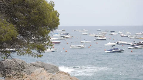 Misty marina 스톡 동영상 55530004