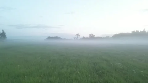 Misty meadow 2 Stock Footage 245092799