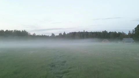 Misty meadow at night Stock Footage 245093070