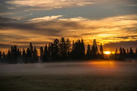 Misty Meadow at Sunrise Stock Photos