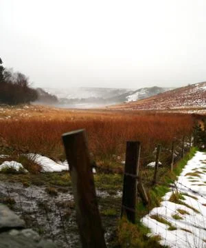Misty moors Stock Photos