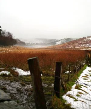 Misty moors Stock Photos