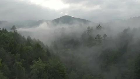 Misty morning from above Stock Footage 238845983