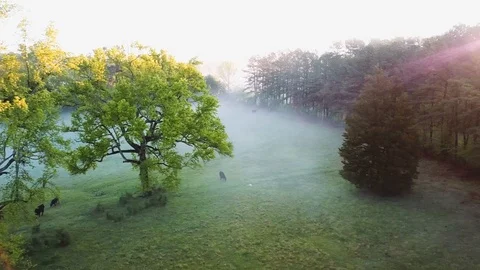 Misty morning in Durham Stock Footage 91833446