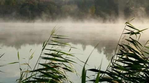 Misty morning Stock Footage 8766735