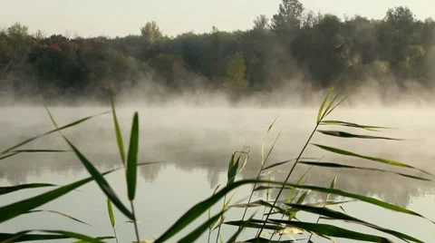 Misty morning 動画素材 8766751