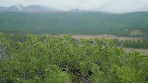Misty morning Stock Footage 163839591