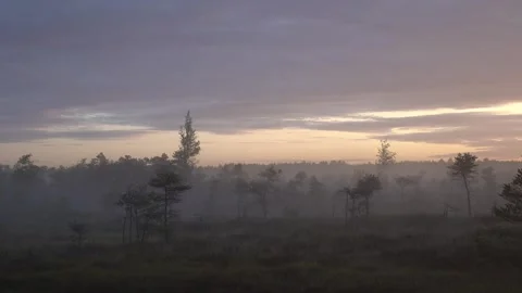 Misty Morning Video stock 247433078