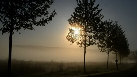 Misty Morning HD Stock Footage 134283626