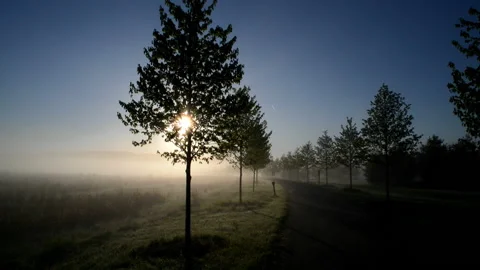 Misty Morning HD Stock Footage 134286947