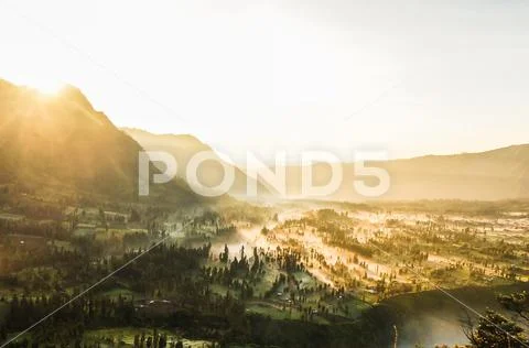 Misty Morning In The Mountain Forest of Bromo Stock Photos