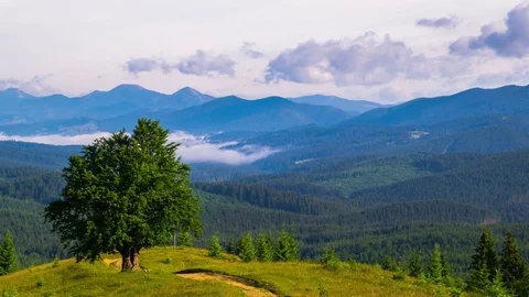 Misty Morning in the Mountains Stockbeeldmateriaal 79530251