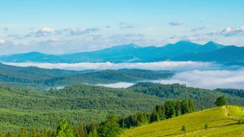 Misty Morning in the Mountains Video stock 80178681