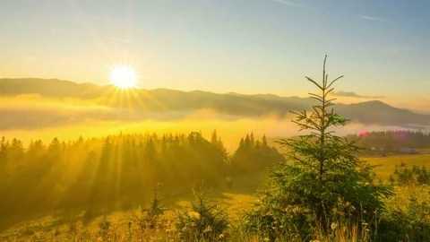Misty Morning in the Mountains Stockbeeldmateriaal 80249838