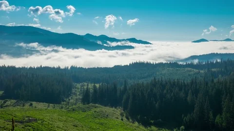 Misty Morning in the Mountains Vidéo 80799534