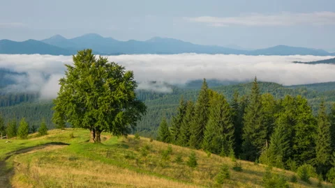 Misty Morning in the Mountains 库存影片 101000688