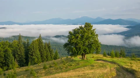 Misty Morning in the Mountains Video stock 102700581