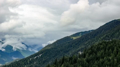 Misty morning over a forest in the Swiss Alps. Stock Footage