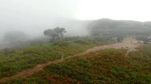 Misty Morning Over Vineyard Fields and Rolling Hills Stock Footage 341606922