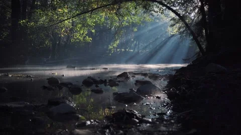 Misty morning river with rays of light dancing on gently moving water as the sun Stock Footage 222010156
