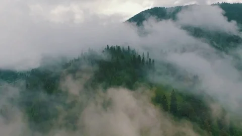 Misty mountain and trees drone footage Stock Footage