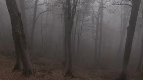 Misty mountain close moving left Stock Footage 157485195