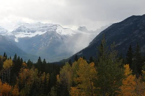 Misty mountain in the fall Stock Photos