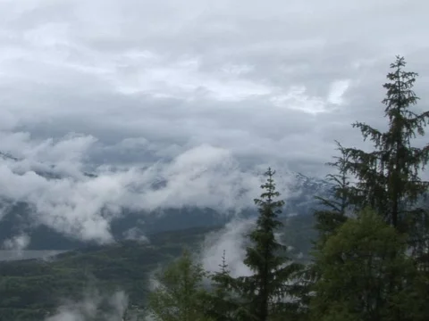 Misty Mountain Stock Footage 490194