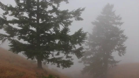 Misty Mountain Stock Footage 82471936