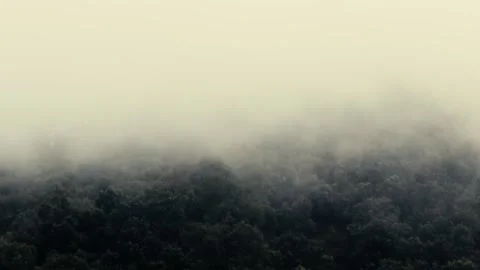 Misty Mountain Video stock 158672406