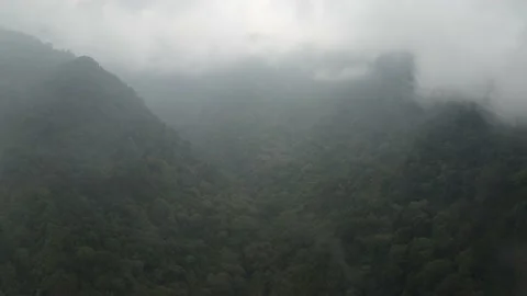 Misty Mountain Video stock 205426924