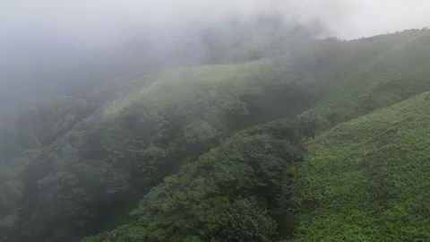 Misty Mountain Stock Footage 261273754