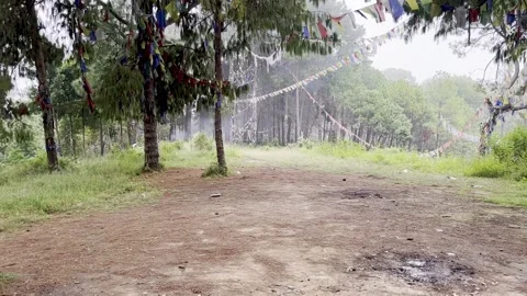 Misty Mountain Stock Footage 300334320