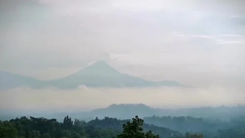 Misty Mountain 動画素材 310343879