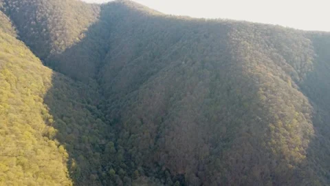 Misty Mountain Forest in Early Spring. An atmospheric aerial view of rollin.. Stock Footage 332004927