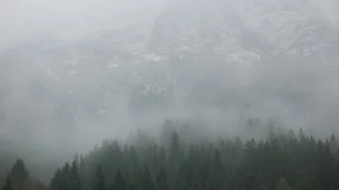 Misty mountain forest in the German Austrian alps Stock-Footage 306679551