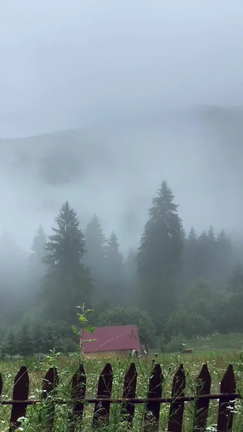 Misty Mountain Forest Panorama in Vertical Format with Fog Rolling Through Trees Vídeo Stock 331993008
