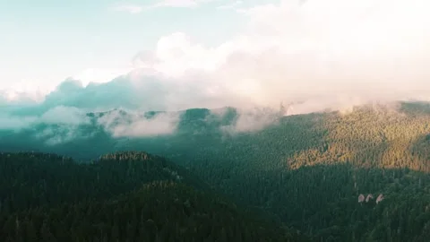 Misty Mountain Forest with Rolling Clouds Stock Footage 317405658