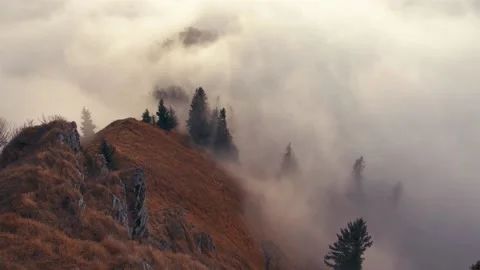 Misty mountain forest trees sunny autumn dramatic nature time lapse fast clouds Stock Footage 166406009