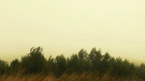 Misty mountain high 스톡 동영상 809861