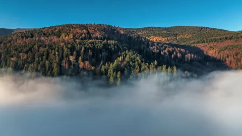 Misty Mountain Hyperlapse in the Vosges Stock Footage 291927182