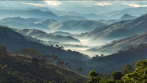 Misty mountain landscape with dense forest below, shrouded in fog Stock Footage 314717940