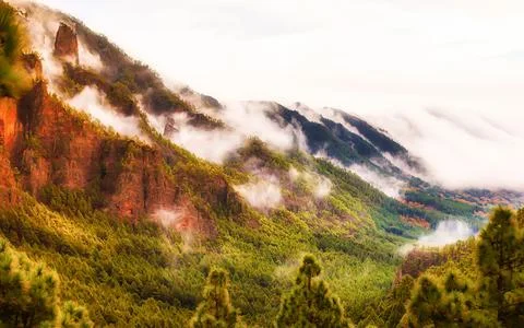 Misty mountain landscape with dramatic cliffs and pine forests in Tenerife Stock Photos