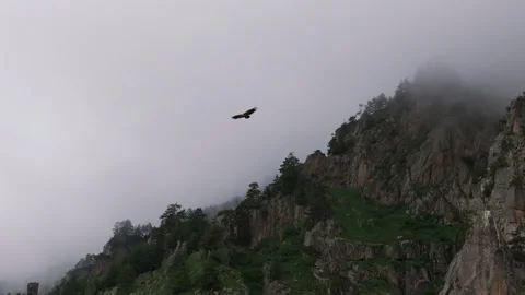Misty mountain landscape with an eagle soaring above rugged cliffs in early Stock Footage 289625984