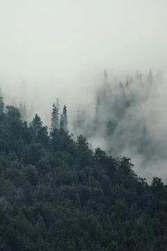 Misty mountain landscape Photos